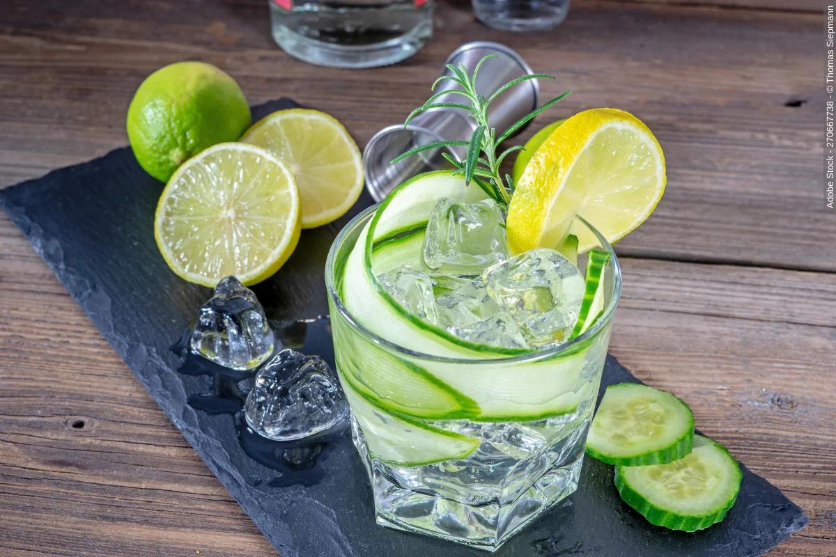 Wie gelingt der perfekte Gin Longdrink?